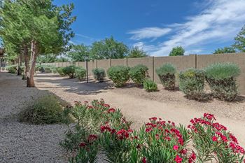 Garden view